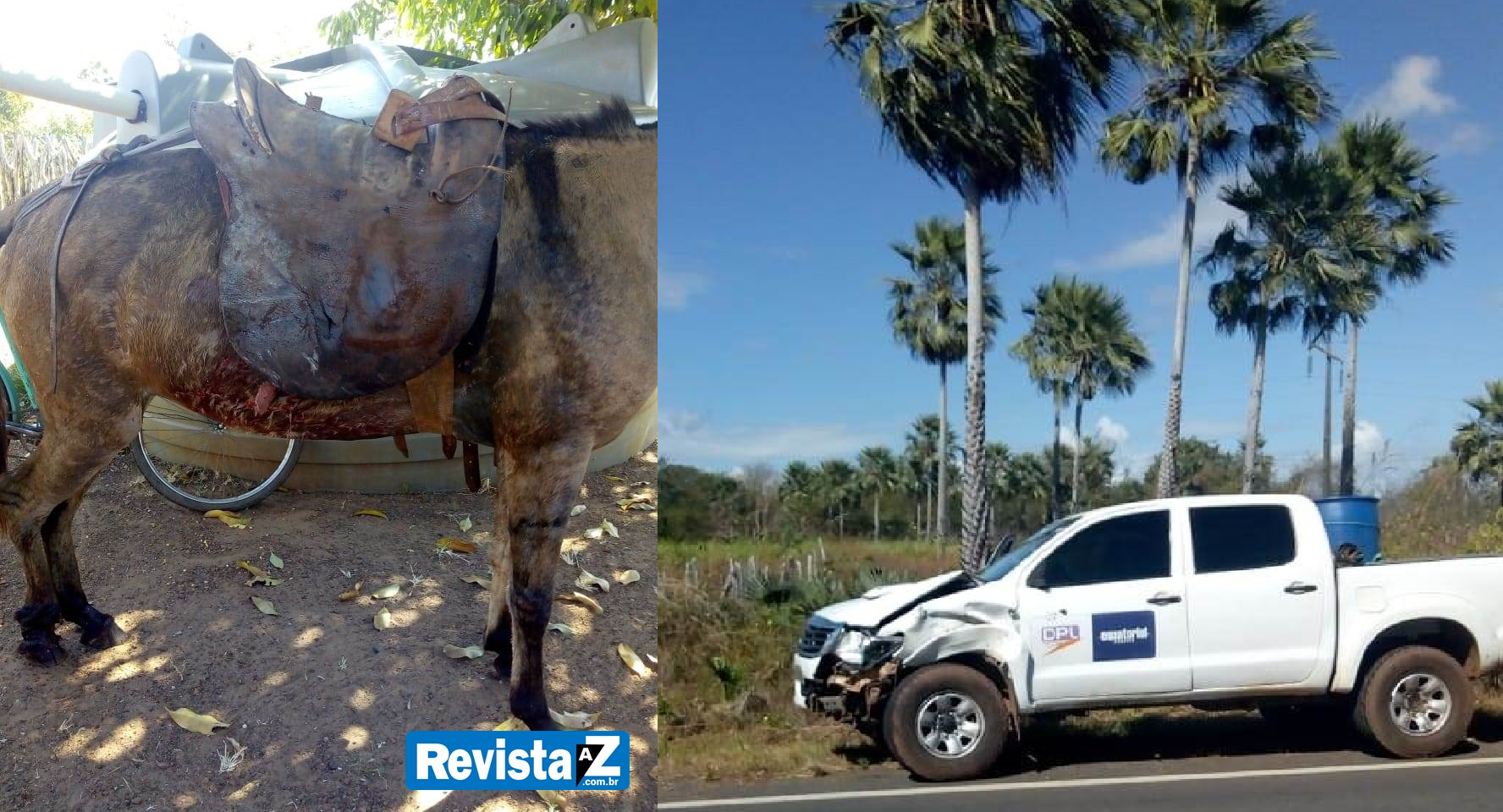 Vaqueiro é atropelado por veículo da Cepisa no Norte do Piauí